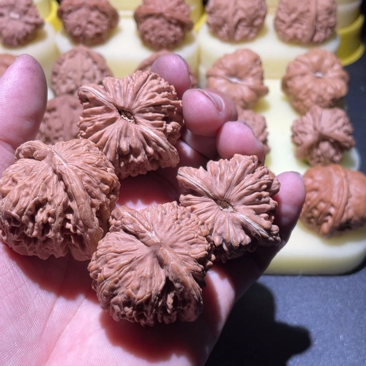 桃核吊坠黑*楼子福利