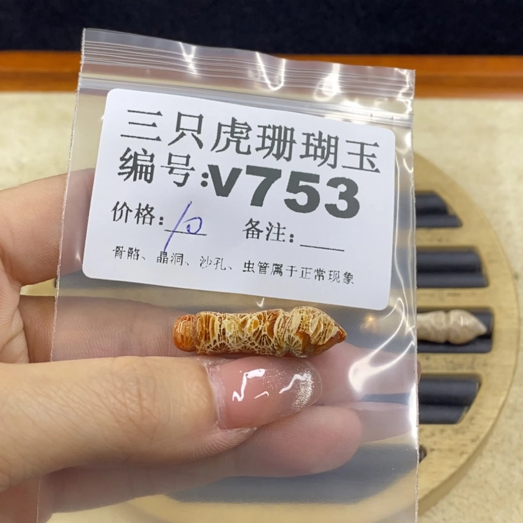 硅化珊瑚（珊瑚玉）未镶嵌1向****?