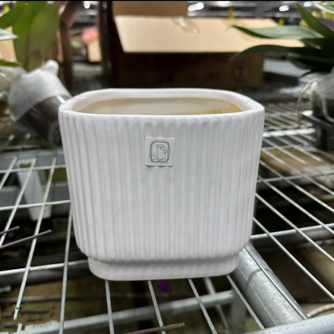 明兰花卉（小花盆）粉丝专享各种各样陶瓷盆