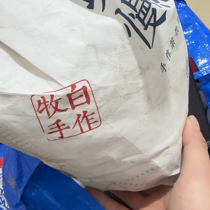 中***龙扇子把h哈哈哈哈哈哈哈哈姐姐家