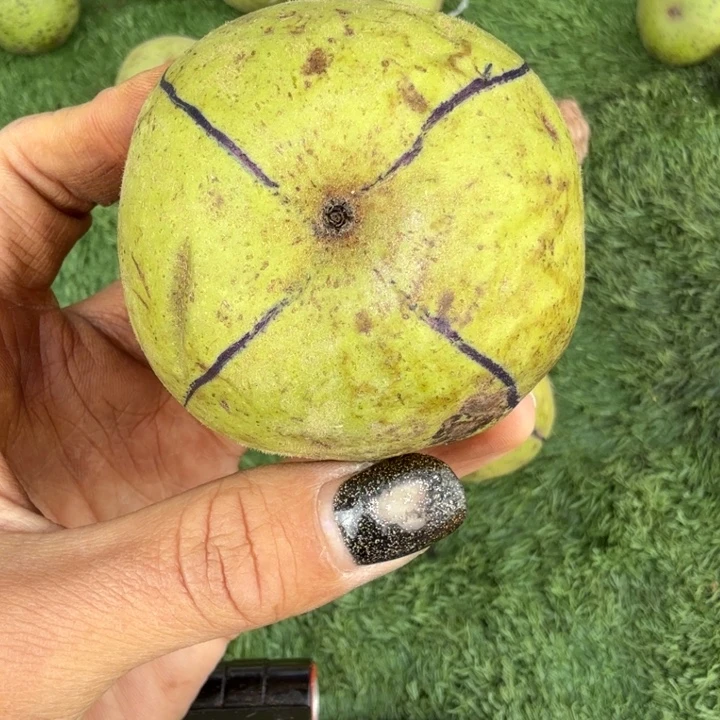 南疆石核桃专用链接