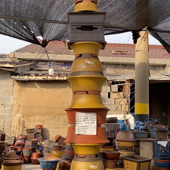 红陶你的人生就是说你