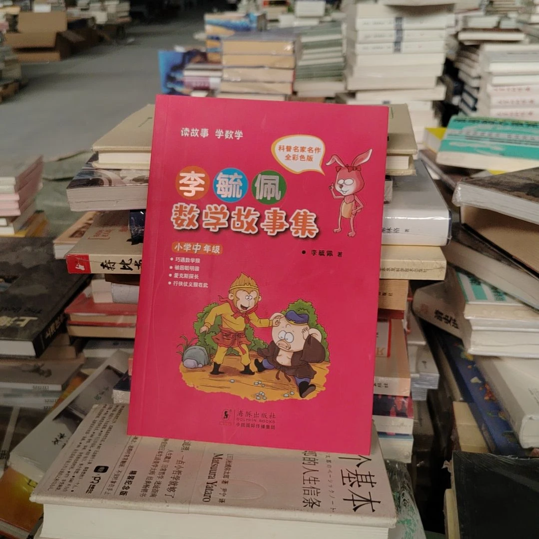 李玉佩数学故事集小学中年级
