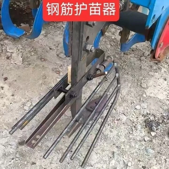 钢筋护苗器趟地护苗器钢筋款钢筋棍有效防止土压苗保护幼苗生长