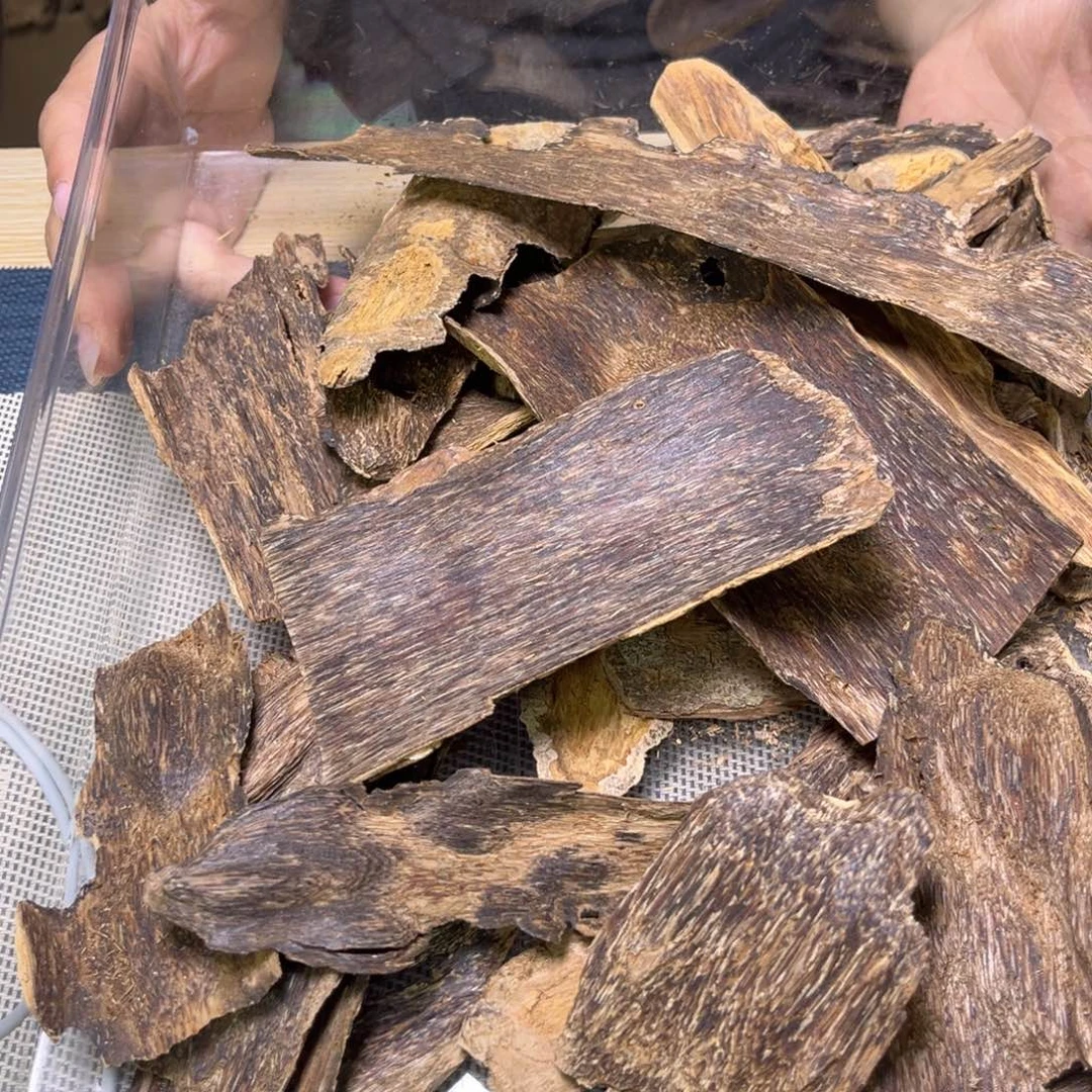 香料海南大山奇楠泡5克重福利