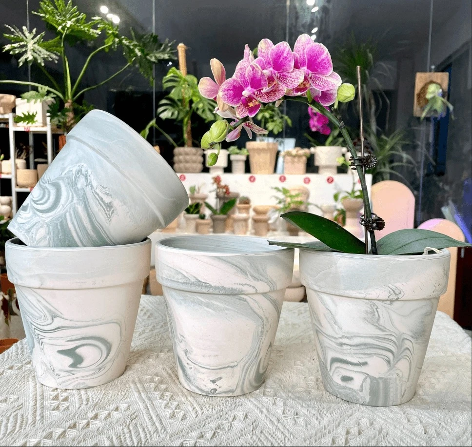 [13*13]4个装玛奇朵透气吸水陶土花盆控根环保秋海棠石斛蝴蝶兰