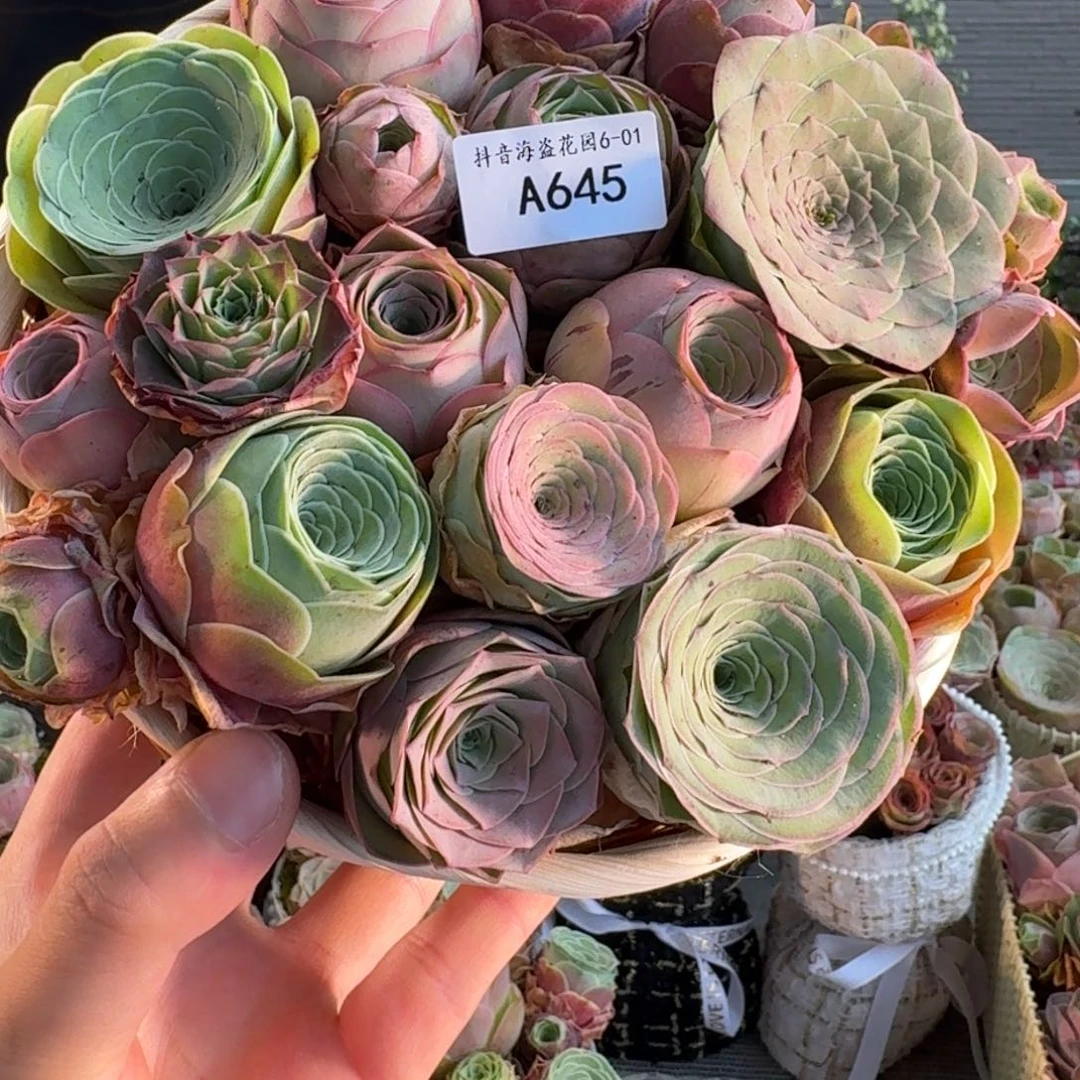 巴****店A645 竹编花篮玫瑰组合