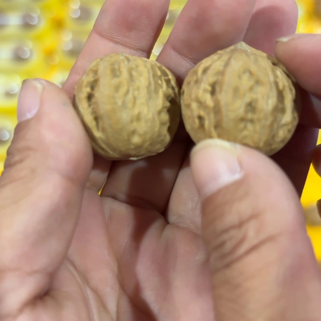 秋子核桃全品精选高货