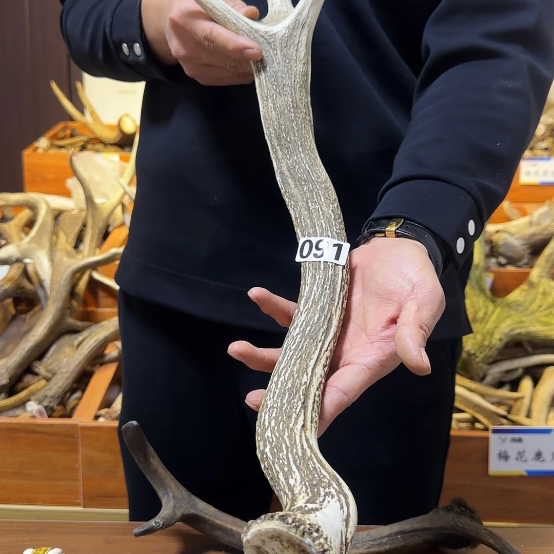 鹿骨手串/手链怪角091