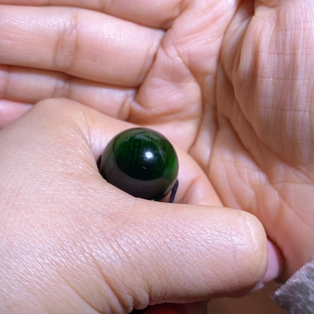 贝壳杉2.0绿色一颗帝王血龙木