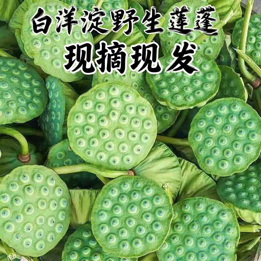 新鲜莲蓬现摘现发甜嫩莲子米生吃清香脆甜当季水果