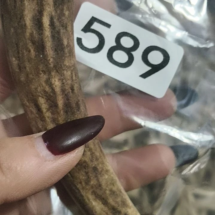 蔚***空鹿角鹿角鹿角鹿角鹿角鹿角