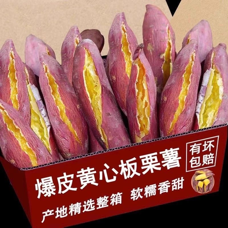 陕西临潼正宗板栗红薯新鲜农家自种地瓜山芋蜜薯黄心小番薯3/5斤