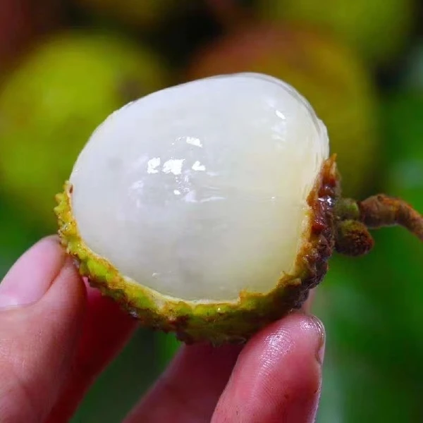 【周谷堆水果】广西妃子笑荔枝净重5斤清甜多汁颗颗精选现摘（26）