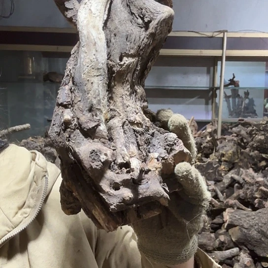 香榧木实**手火琉璃的故事毛夹摆件