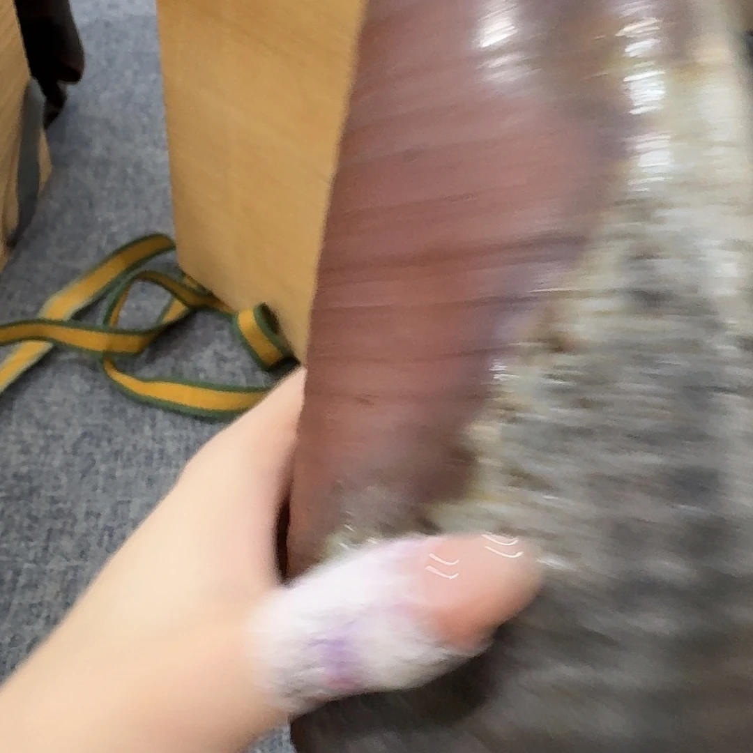 非常美丽漂亮的物品
