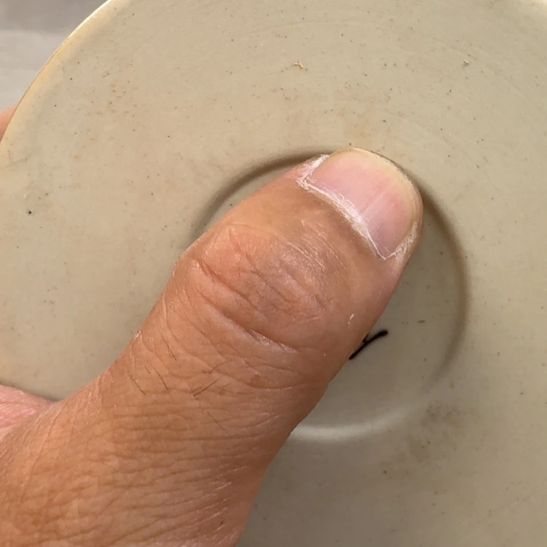 杯釉里红海水龙两才盖碗