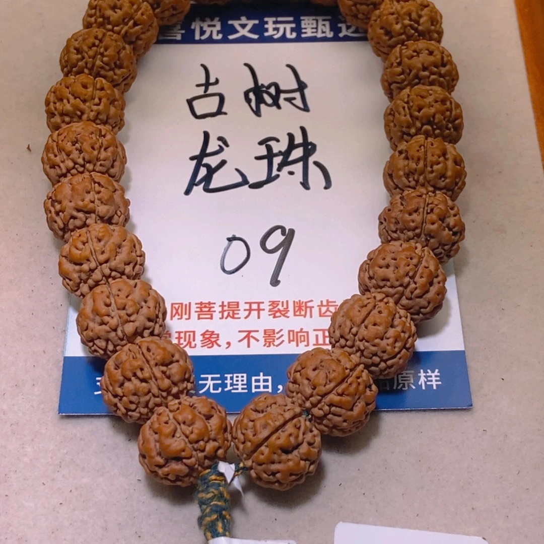 金刚菩提手串010古树龙珠15+