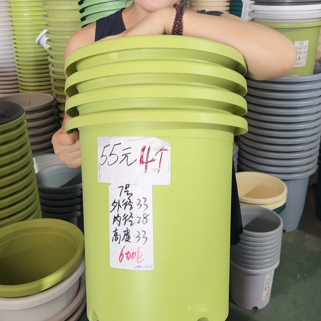 微瑕7#口径33无拖果绿6个