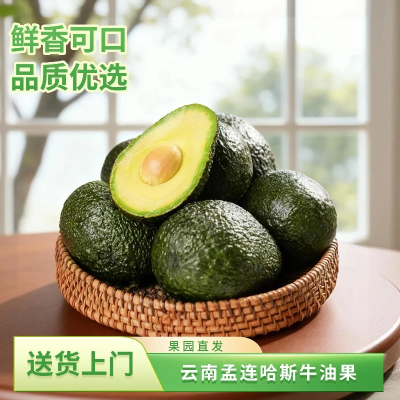 国产哈斯牛油果新鲜当季水果适合宝宝孕妇辅食