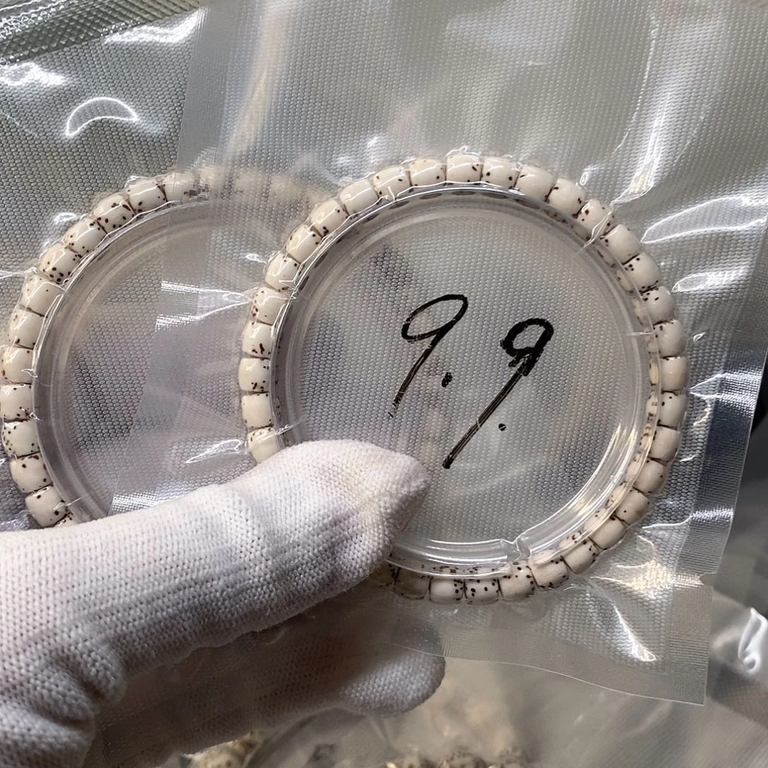 手串星月菩提原白河豚6*5