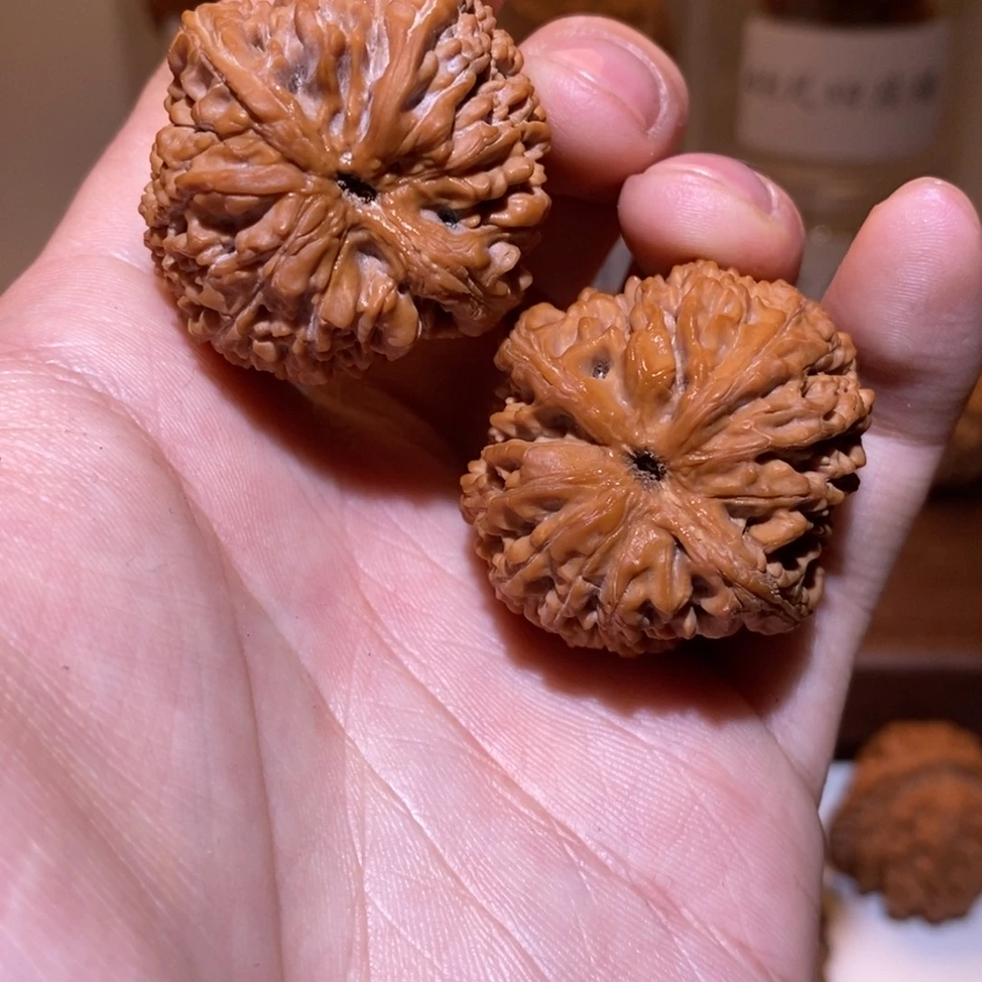 36尺 全品白茬 大蒜头