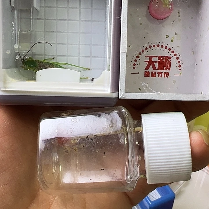 用***海哈哈哈哈哈哈哈哈哈哈哈