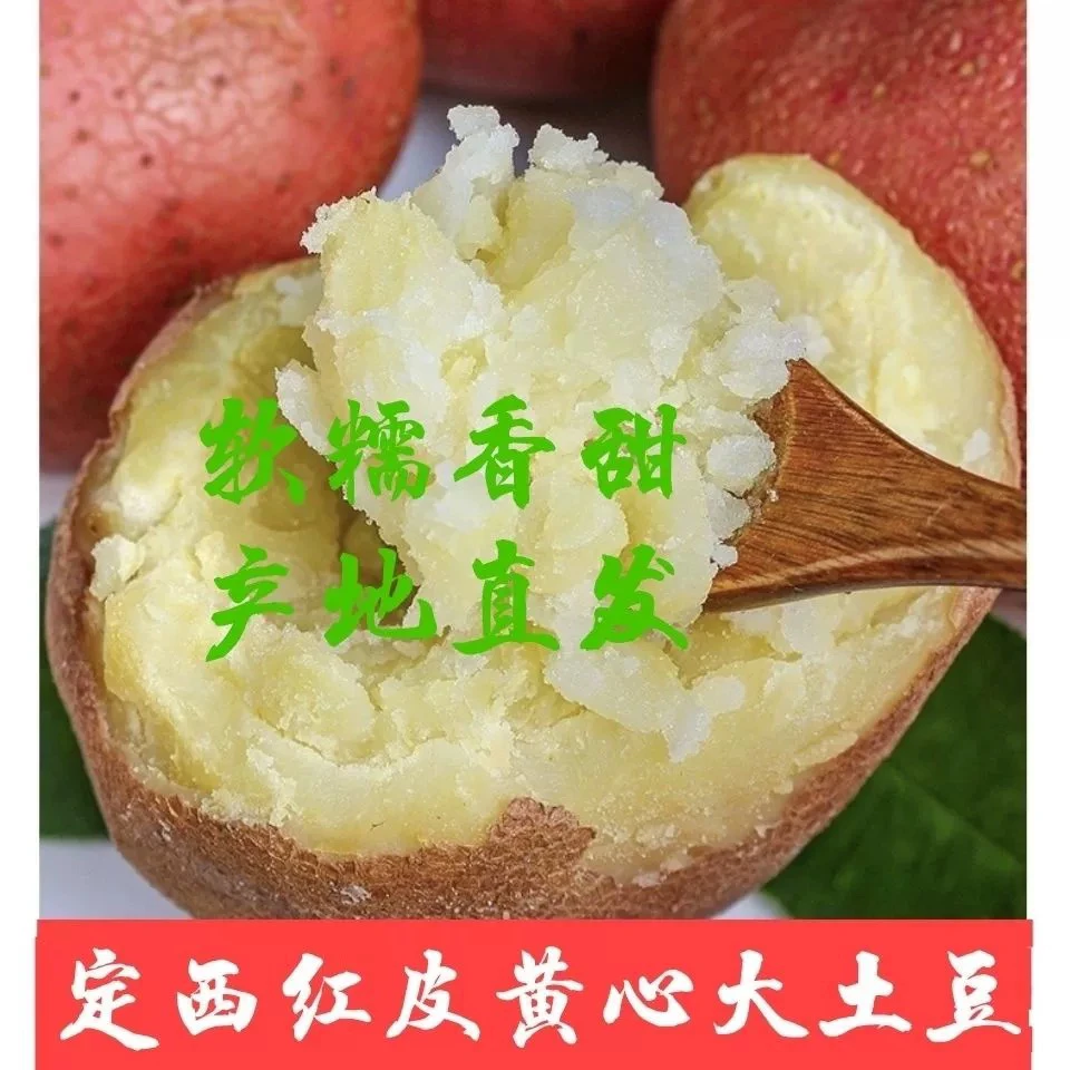 甘肃(定西)高山沙面红皮土豆农家自种原生态新鲜马铃薯洋芋