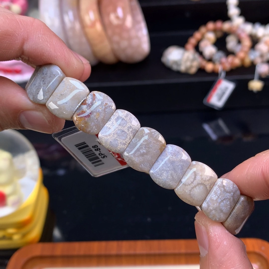 硅化珊瑚（珊瑚玉）未镶嵌颈饰92号mini版型黑咖色调