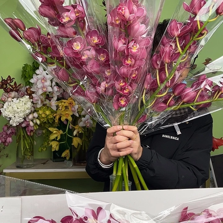 完全开放A级绣球惠兰3支