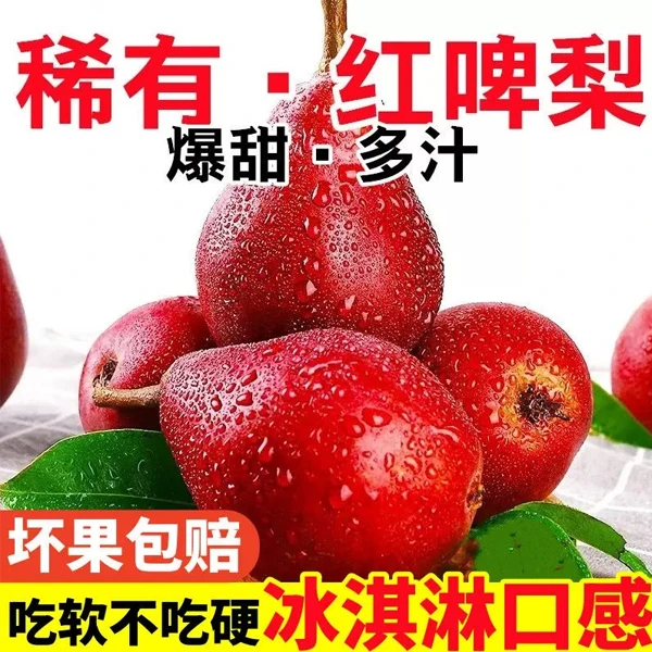 【放软更好吃】正宗红啤梨新鲜采摘冰淇淋太婆梨2-4.5斤红皮梨水果