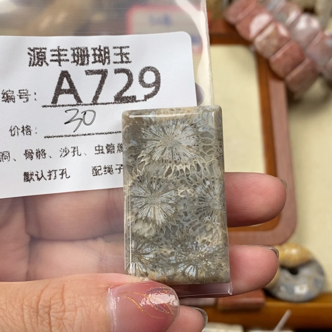 栀***欣硅化玉未镶嵌颈饰
