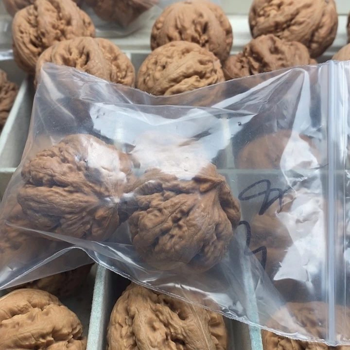 执***,文玩核桃吊坠霸王龙