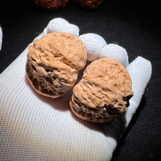 422全品无修龟背金蟾蛤蟆头文玩核桃 尺寸:边39肚41高33