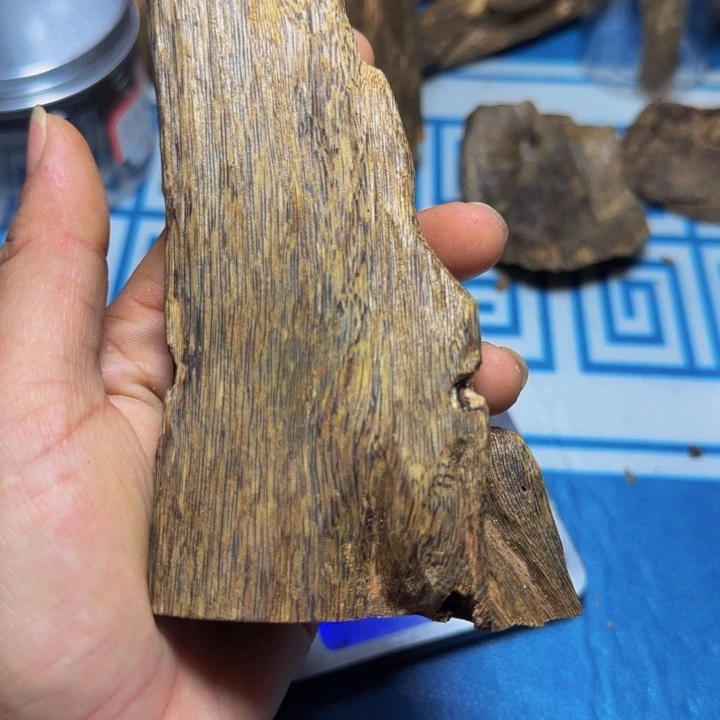 木绿奇陆河虫漏54克