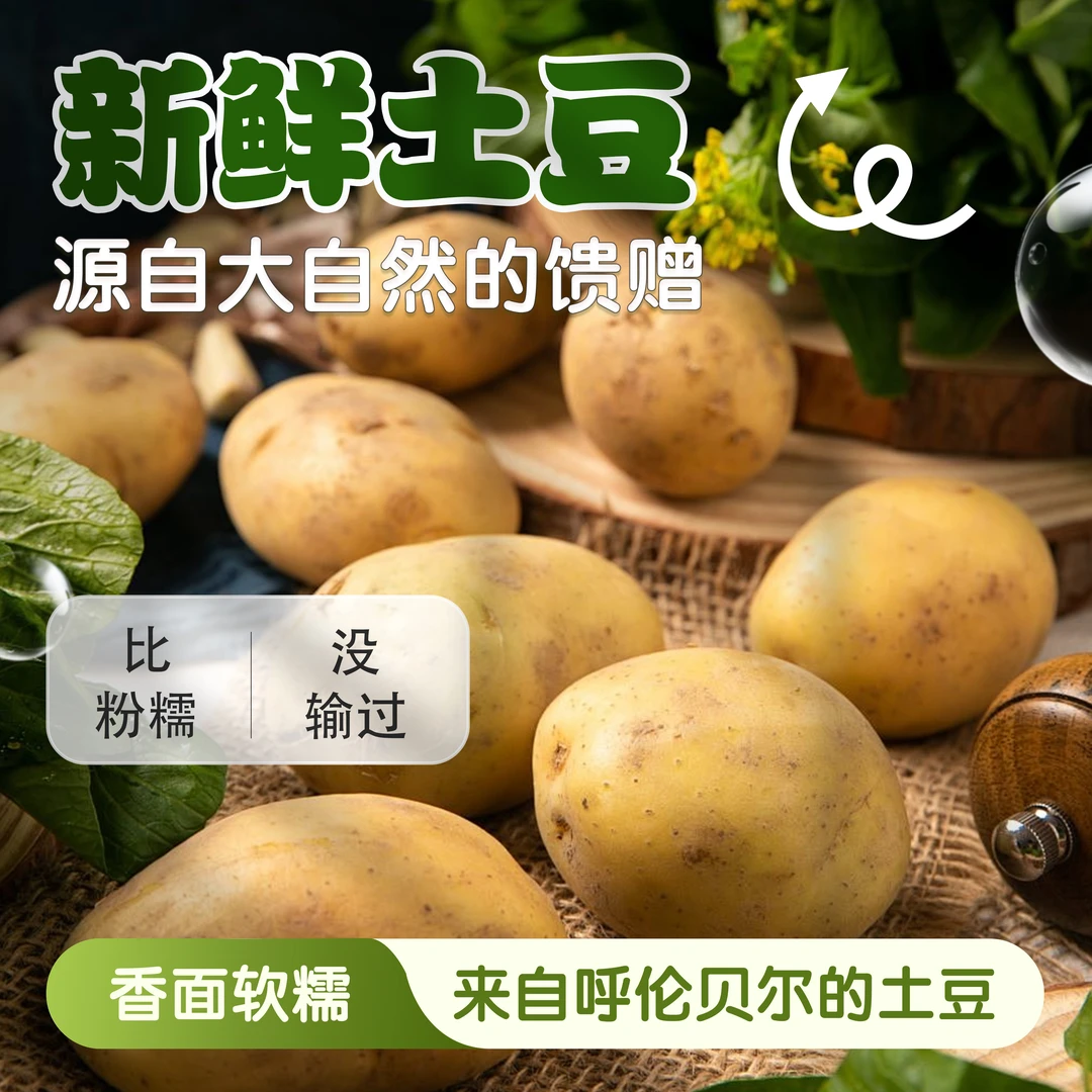 呼伦贝尔农家肥土豆当季新鲜马铃薯精选中大果现挖现发无农残