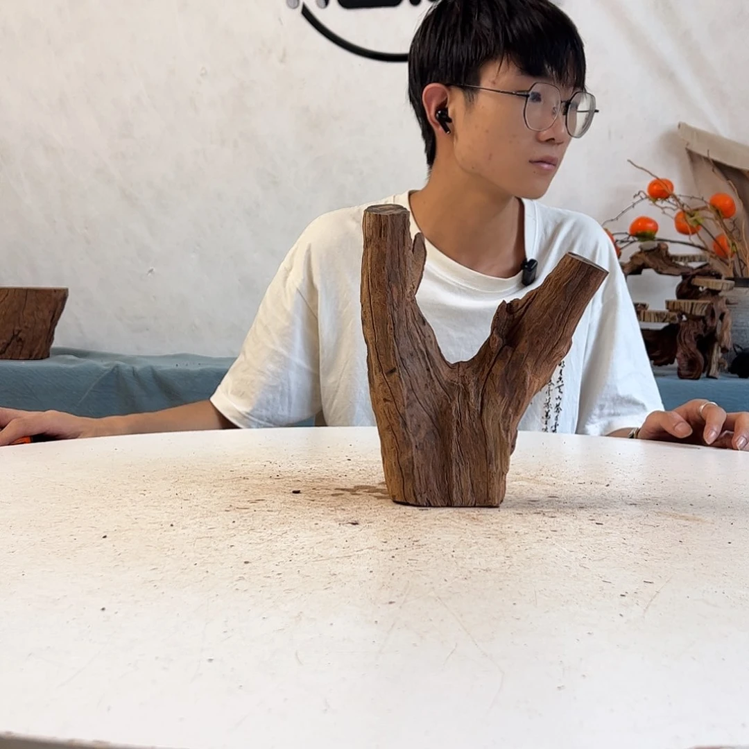 沉木造景寄居蟹景