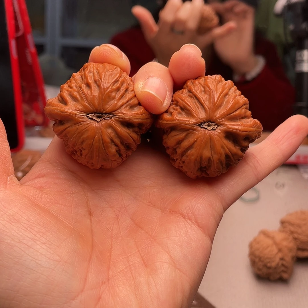 汝***何42铁锤一打四只老虎我