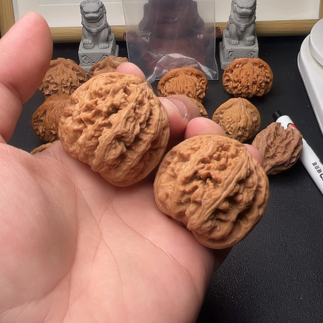 F196粗筋45尺全品