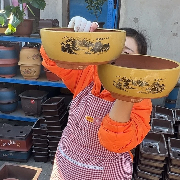 黄色江山如画中一对花盆花盆花盆