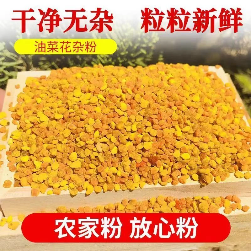 花粉养蜂饲料蜜蜂蜂粮花粉油菜杂粉蜜蜂花粉蜂场蜂粮专用