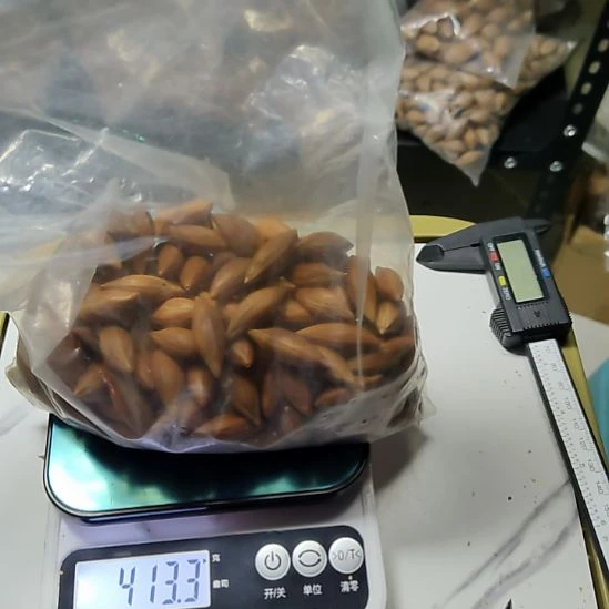 皮***粥吊坠橄榄核柳叶核