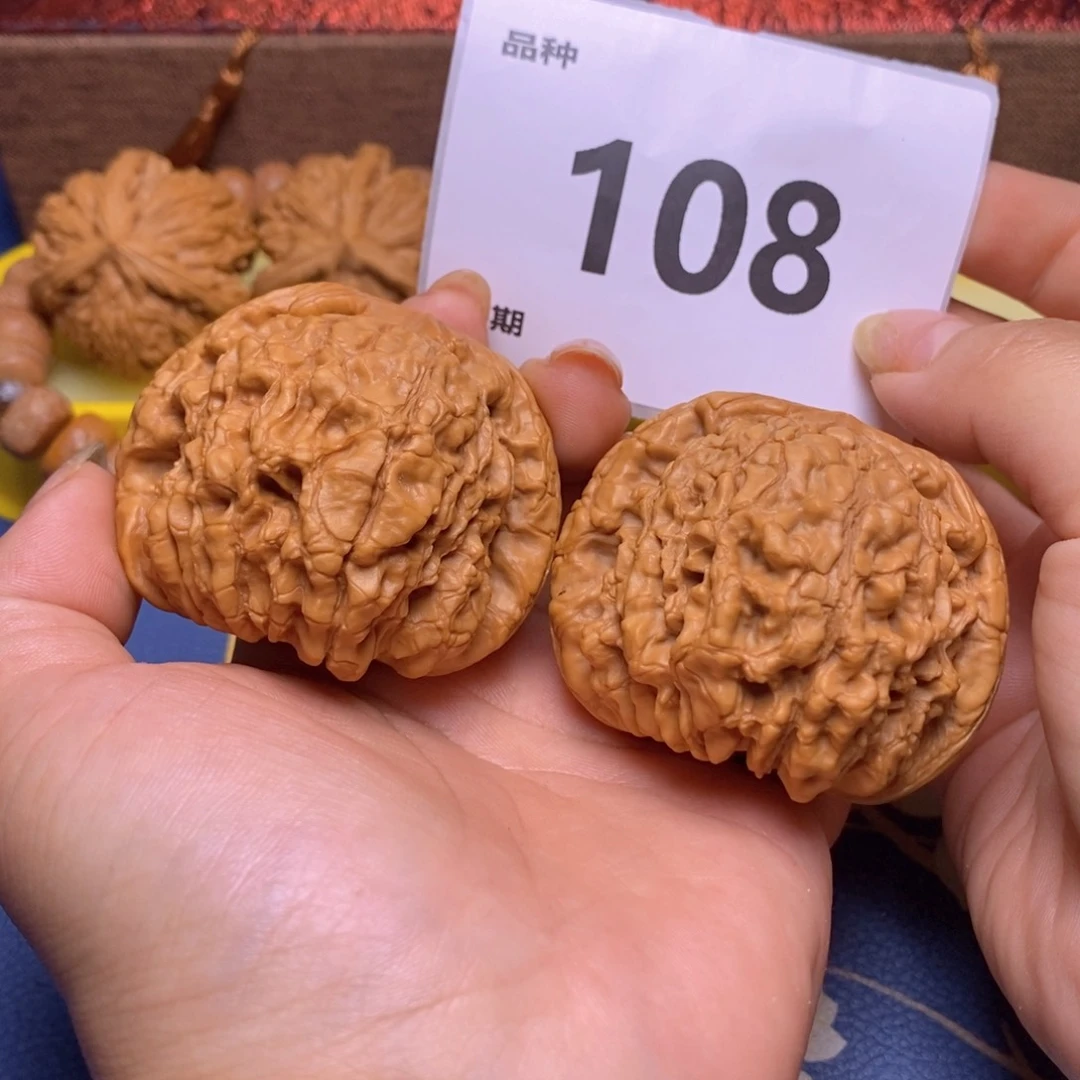 文玩核桃把件108龙鼎全品53+