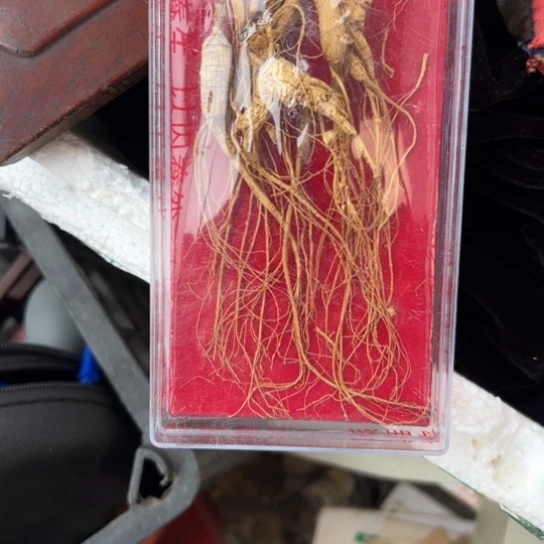 安***兰杂色豆（科檀/科特迪瓦檀木）