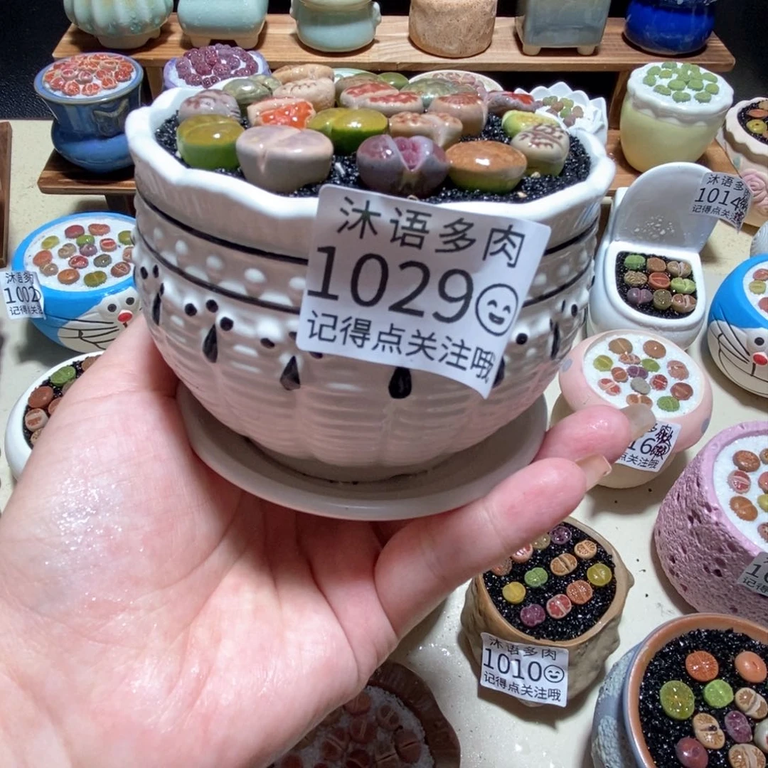 所见即所得 一物一拍1029