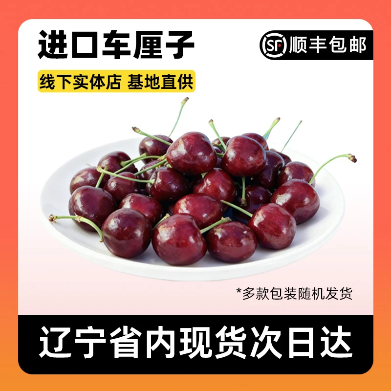 智利桑提娜车厘子空运JJD级净重2.5kg内附果径卡（5颗起赔 介意慎拍）桑提娜樱桃智利共和国