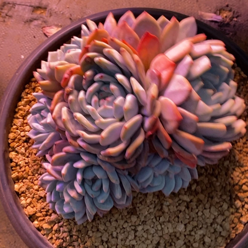 【闪购商品】?**?111111