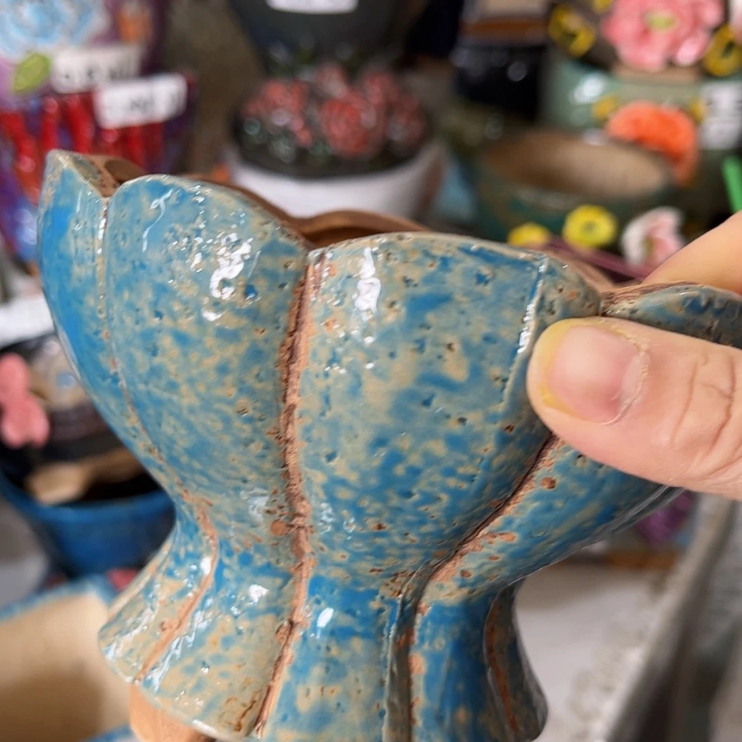 【闪购商品】红陶福利