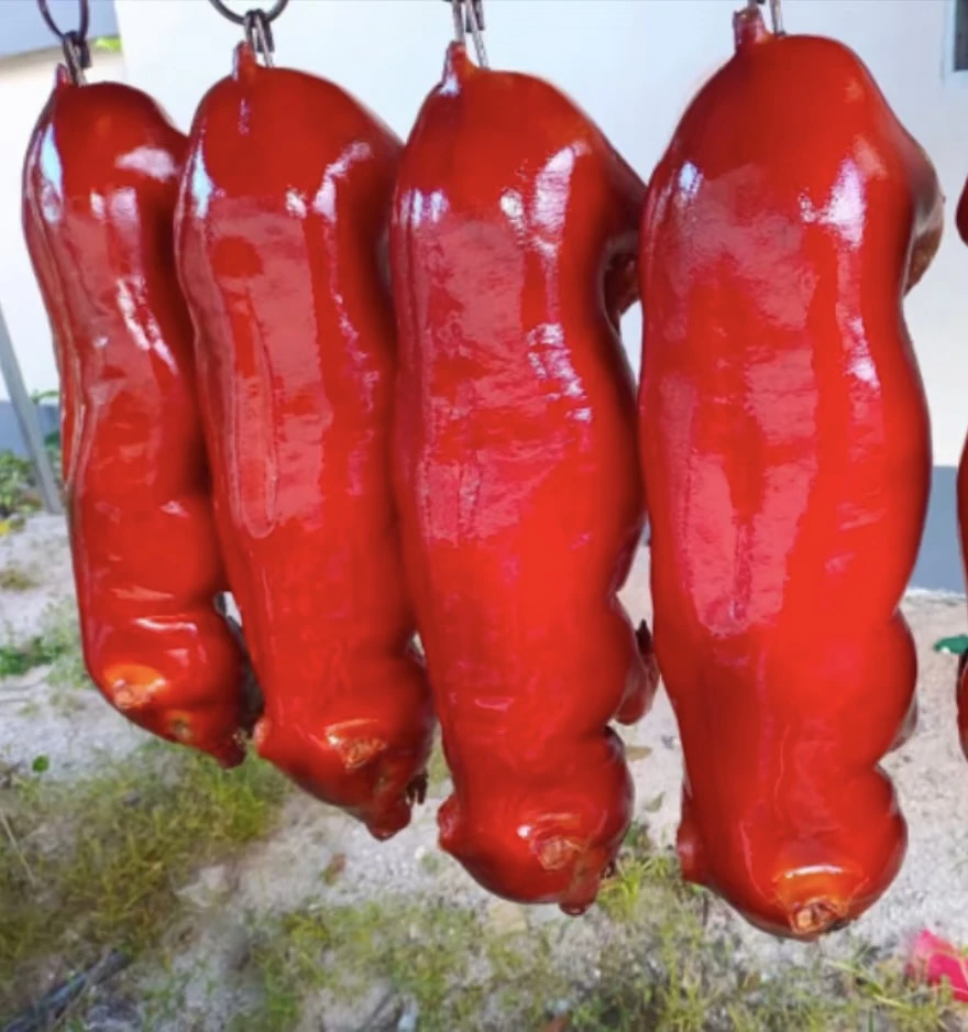 湛江地炉烤猪大猪6斤散装广东冷链顺丰包邮