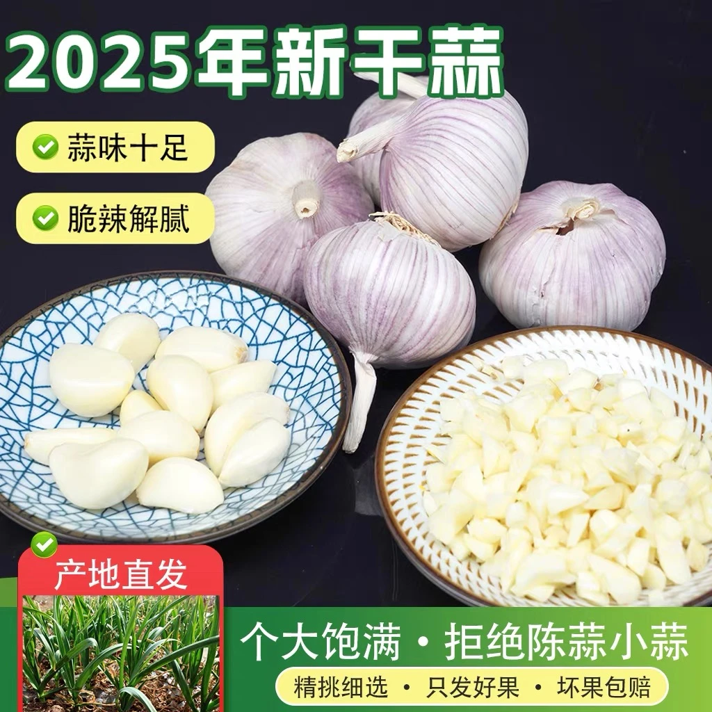 大蒜新干蒜紫白皮种籽山东薄皮大蒜蒜汁浓干蒜头农家自种蒜头包邮